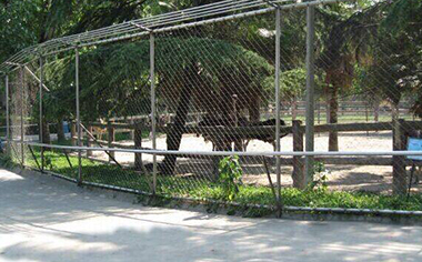 鳥語林專用繩網