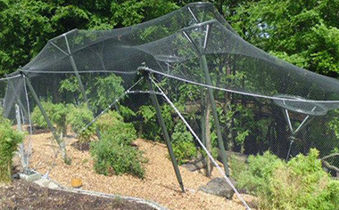 鳥語林專用繩網