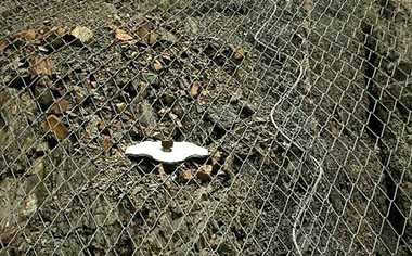 邊坡防護勾花網(wǎng) 邊坡防護勾花網(wǎng)