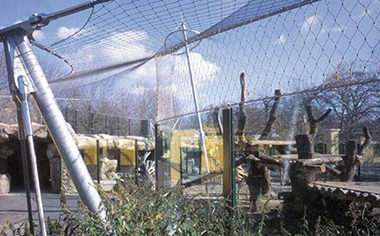 鳥語林專用繩網