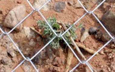 邊坡防護勾花網(wǎng) 邊坡防護勾花網(wǎng)