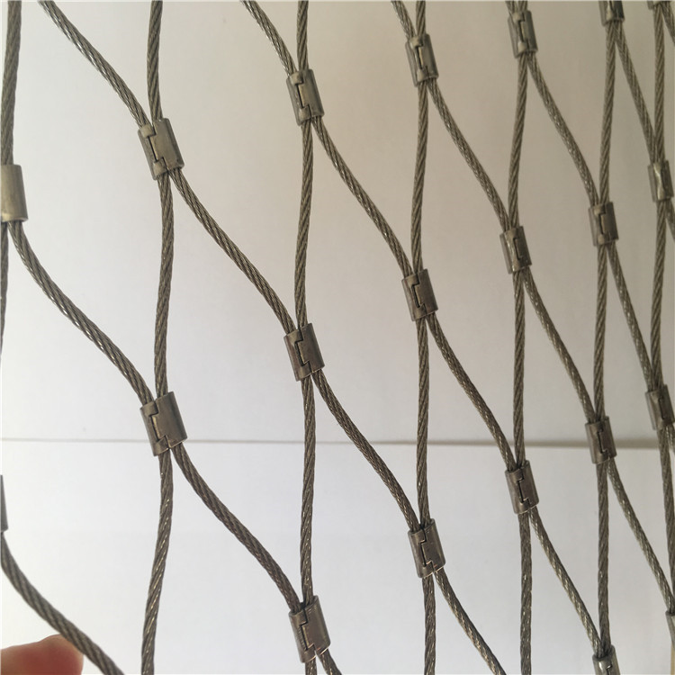 IMG_8710_副本.jpg IMG_8710_副本.jpg