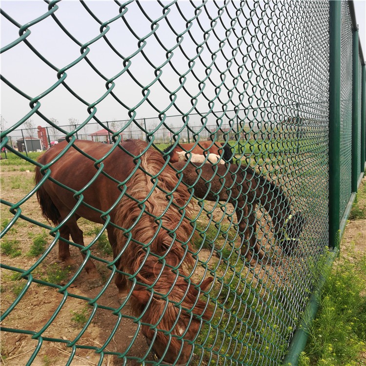 mmexport1525225250587.jpg mmexport1525225250587.jpg