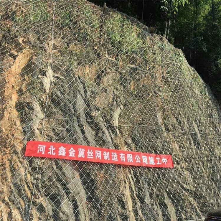 IMG_8363.JPG IMG_8363.JPG