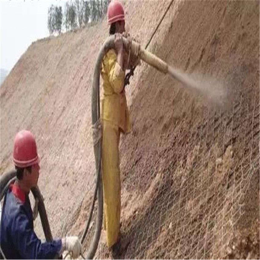 IMG_9035_副本.jpg IMG_9035_副本.jpg