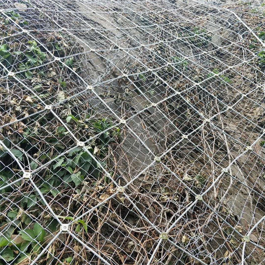 mmexport1527551175891.jpg mmexport1527551175891.jpg