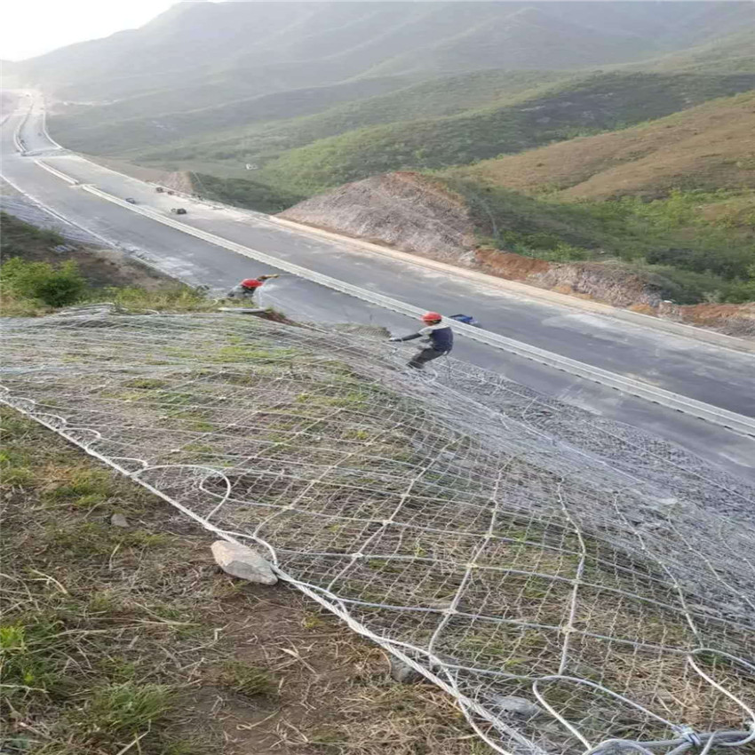 mmexport1533352068529.jpg mmexport1533352068529.jpg