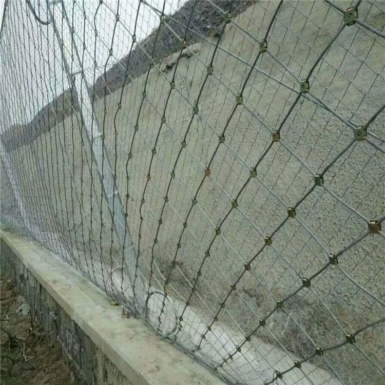 微信圖片_20171220100236.jpg 微信圖片_20171220100236.jpg