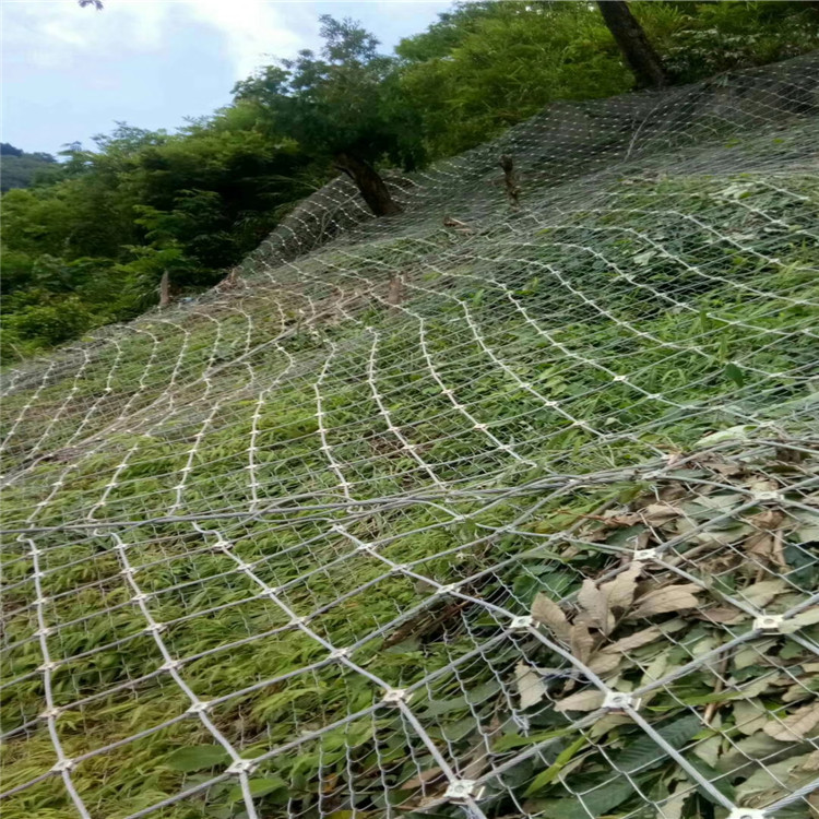 mmexport1535158338297.jpg mmexport1535158338297.jpg