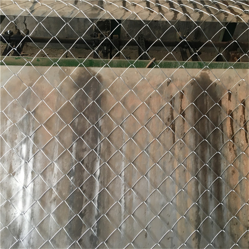 IMG_9612.JPG IMG_9612.JPG