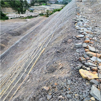 綠化勾花網(wǎng)4.jpg 綠化勾花網(wǎng)4.jpg