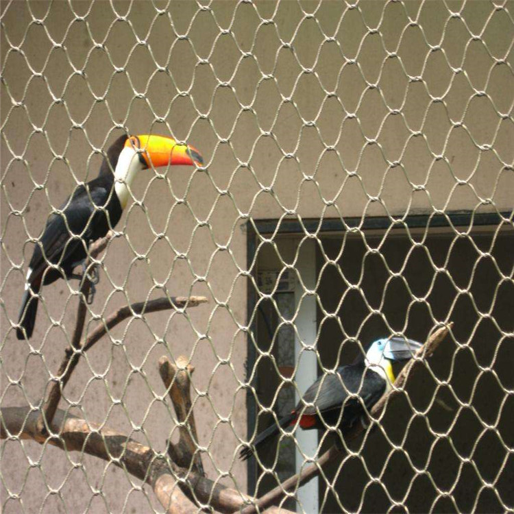 動(dòng)物專用網(wǎng)