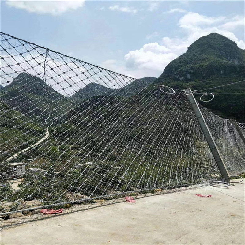 被動網 (15).jpg 被動網 (15).jpg