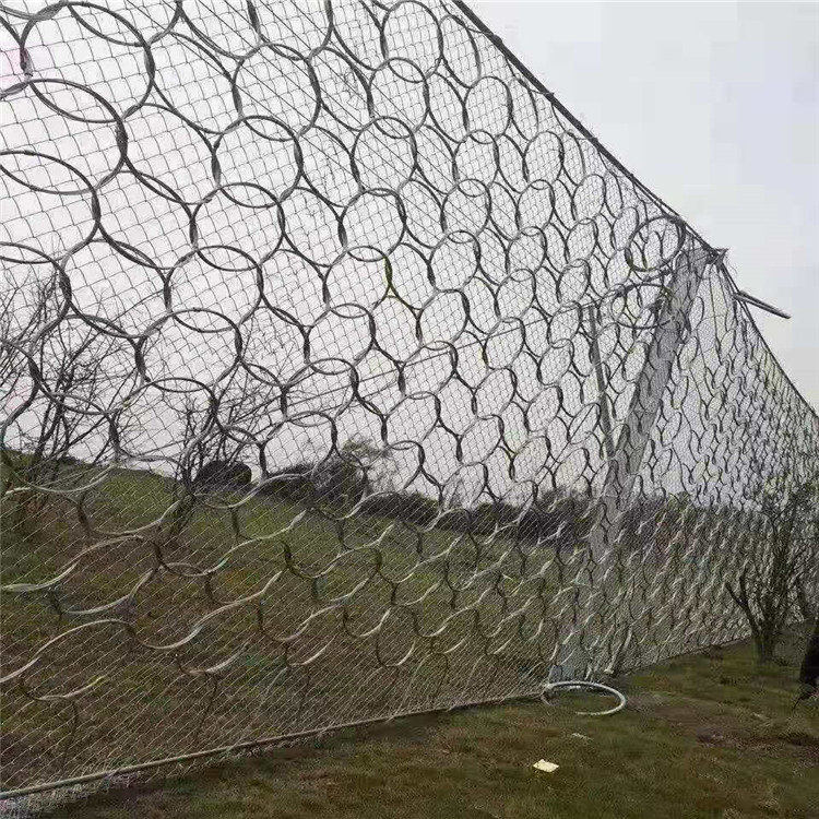 被動環形網.jpg 被動環形網.jpg