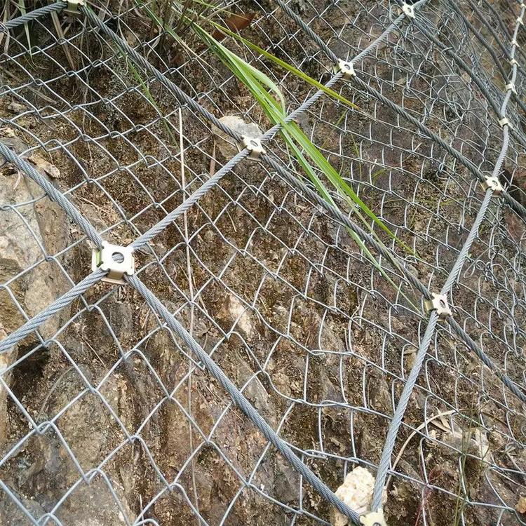 u=3831412199,984489006&fm=199&app=68&f=JPEG.jpg u=3831412199,984489006&fm=199&app=68&f=JPEG.jpg