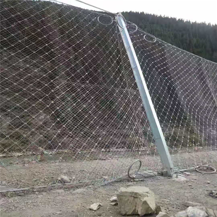 菏澤菱形被動防護網(wǎng)廠家直營