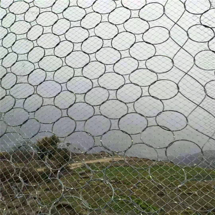 RXI-200型被動環(huán)形網(wǎng).jpg RXI-200型被動環(huán)形網(wǎng).jpg