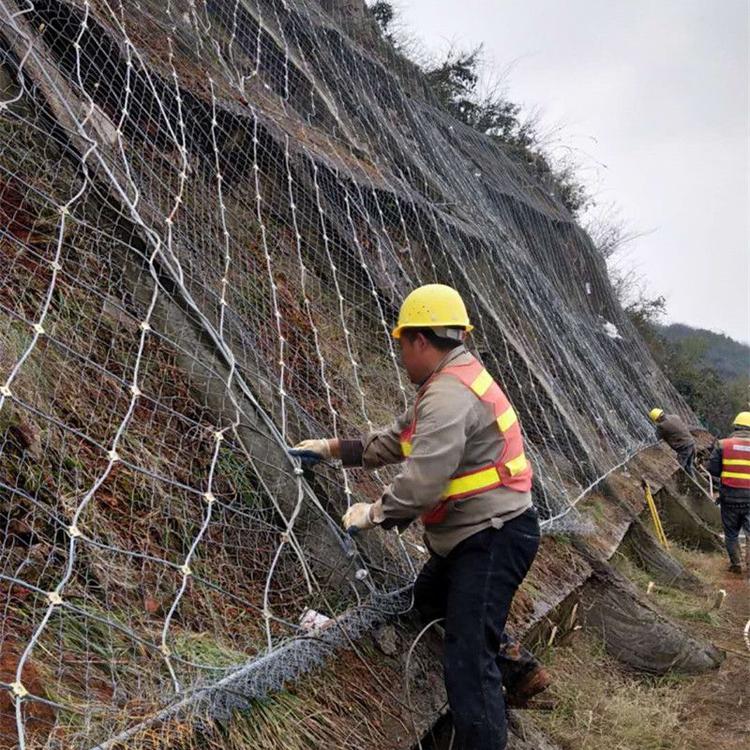 u=641162864,2687731820&fm=199&app=68&f=JPEG.jpg u=641162864,2687731820&fm=199&app=68&f=JPEG.jpg