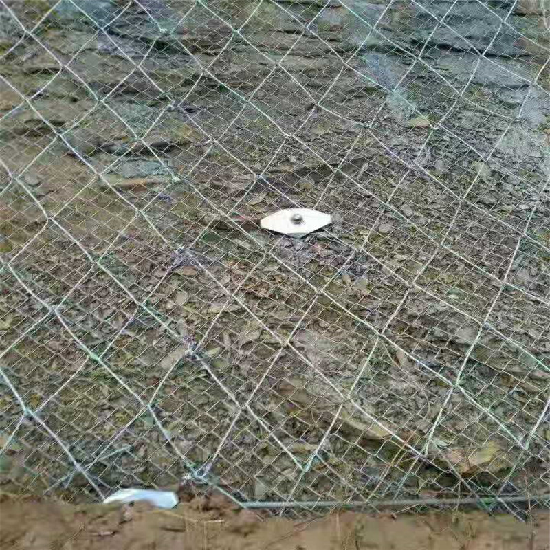 微信圖片_20191212111536.jpg 微信圖片_20191212111536.jpg